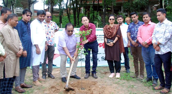 পরিবেশ রক্ষায় প্রধানমন্ত্রীর ২৫ কোটি বৃক্ষরোপণের মহাপরিকল্পনা