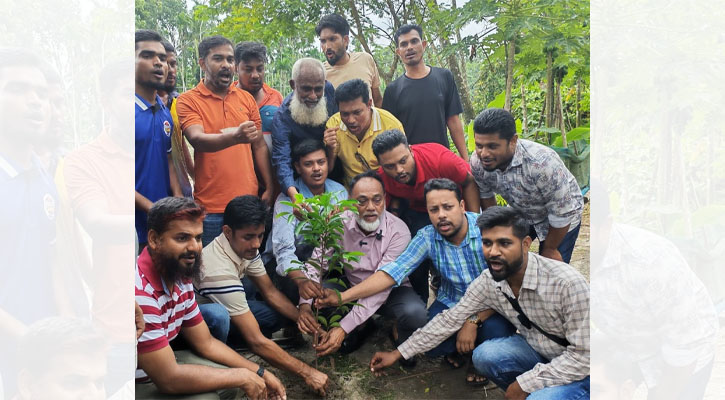 পিরোজপুরে বৃক্ষরোপণ কর্মসূচি