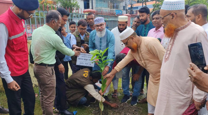পরিবেশকে ও দেশকে বাঁচাতে হলে বেশি করে গাছ লাগাতে হবে