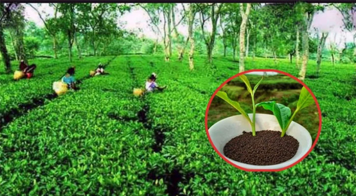 সমাধানে আড়াই হাজার কোটি টাকার ফান্ড গঠনের প্রস্তাব
