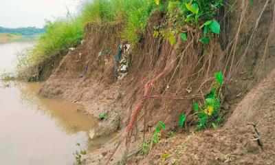 গোলাপগঞ্জে শিংপুর ডাইক ভাঙন, আতঙ্কে এলাকাবাসী