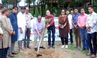 পরিবেশ রক্ষায় প্রধানমন্ত্রীর ২৫ কোটি বৃক্ষরোপণের মহাপরিকল্পনা