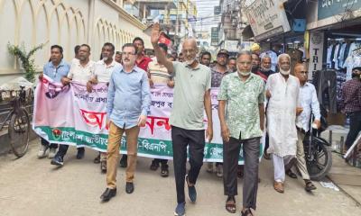 পিরোজপুরে বিএনপির আনন্দ মিছিল ও পথসভা