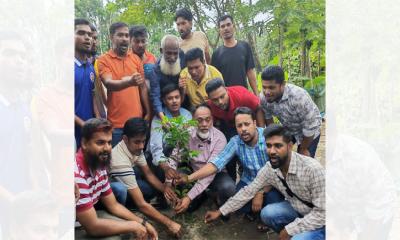 পিরোজপুরে বৃক্ষরোপণ কর্মসূচি