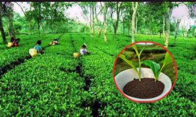 সমাধানে আড়াই হাজার কোটি টাকার ফান্ড গঠনের প্রস্তাব